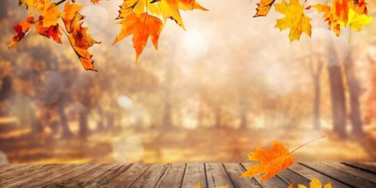 October 1: Facts & Historical Events On This Day