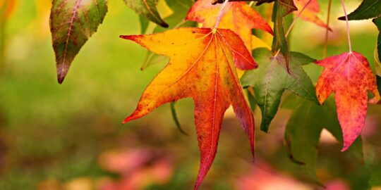 October 10: Facts & Historical Events On This Day