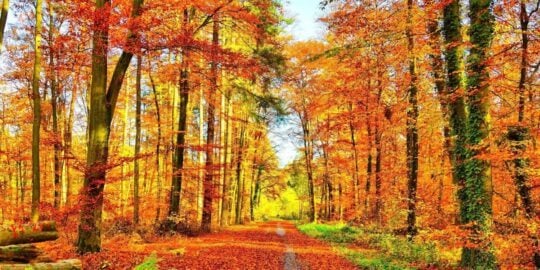 October 13: Facts & Historical Events On This Day