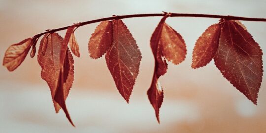 October 14: Facts & Historical Events On This Day