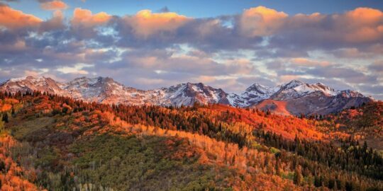 October 15: Facts & Historical Events On This Day