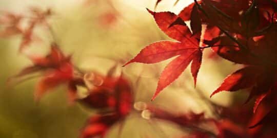 October 16: Facts & Historical Events On This Day