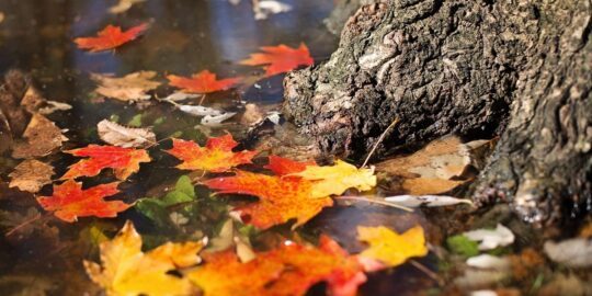 October 18: Facts & Historical Events On This Day