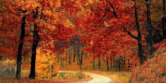 October 20: Facts & Historical Events On This Day