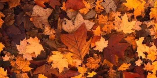 October 21: Facts & Historical Events On This Day