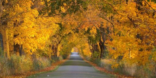 October 22: Facts & Historical Events On This Day