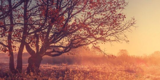 October 23: Facts & Historical Events On This Day