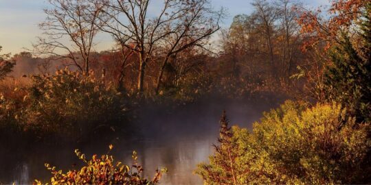 October 24: Facts & Historical Events On This Day