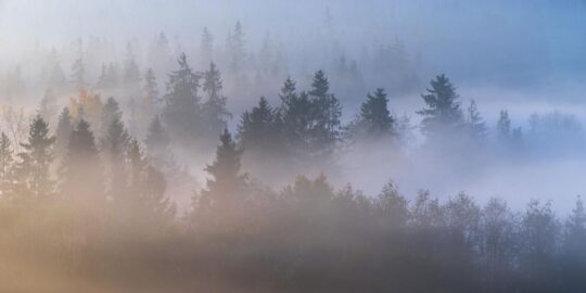 October 27: Facts & Historical Events On This Day