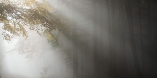 October 29: Facts & Historical Events On This Day