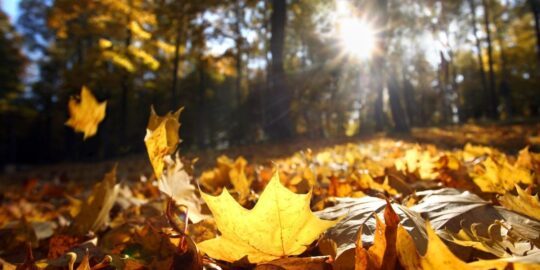 October 3: Facts & Historical Events On This Day