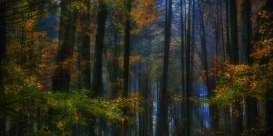 October 30: Facts & Historical Events On This Day