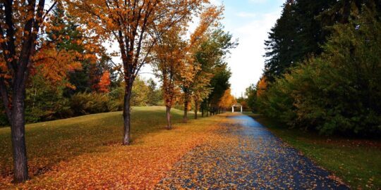 October 4: Facts & Historical Events On This Day