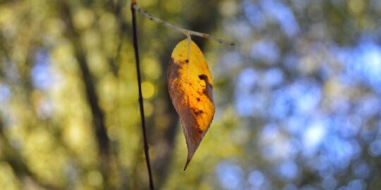 October 6: Facts & Historical Events On This Day