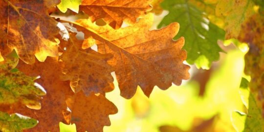 October 7: Facts & Historical Events On This Day