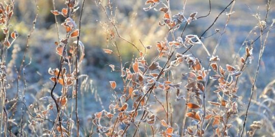 October 8: Facts & Historical Events On This Day