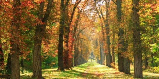 October 9: Facts & Historical Events On This Day