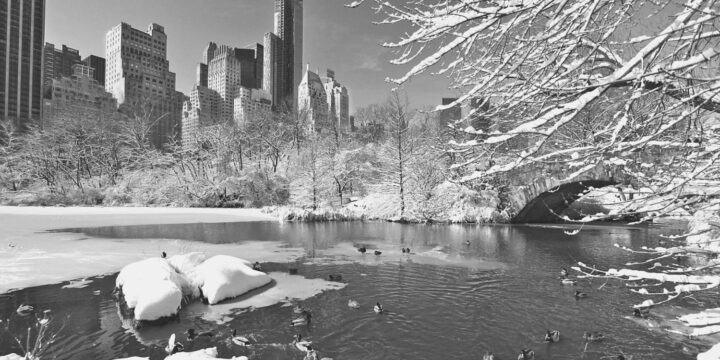 OTD in 1934: A record low temperature was recorded and reached a bone-chilling -15°F in Central Park