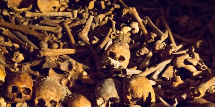 OTD in 2015: A mass grave of 42 victims of the bubonic plague was found at Liverpool Street Station in London