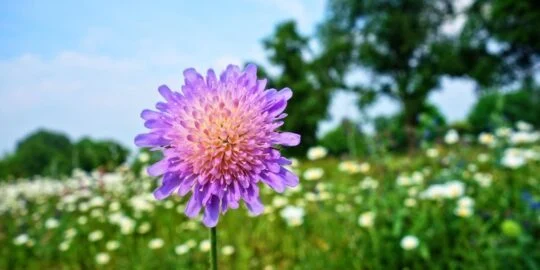 September 10: Facts & Historical Events On This Day