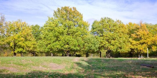 September 13: Facts & Historical Events On This Day