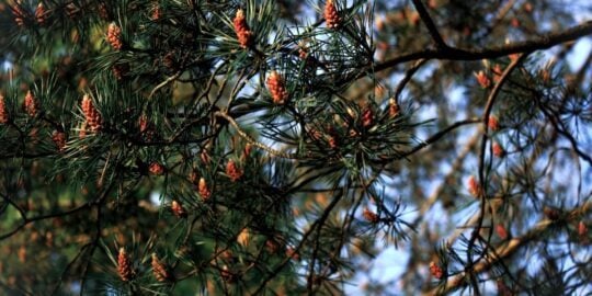 September 15: Facts & Historical Events On This Day