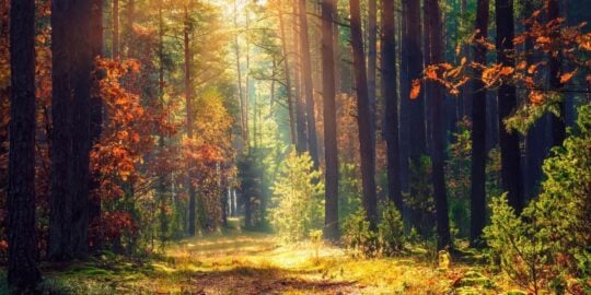 September 2: Facts & Historical Events On This Day