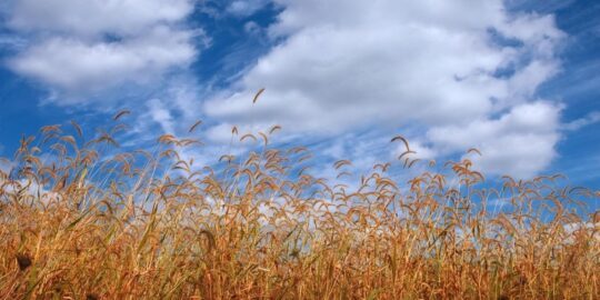 September 28: Facts & Historical Events On This Day