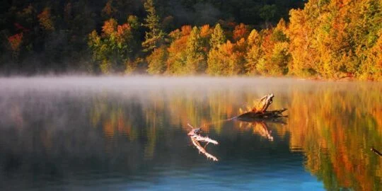 September 29: Facts & Historical Events On This Day