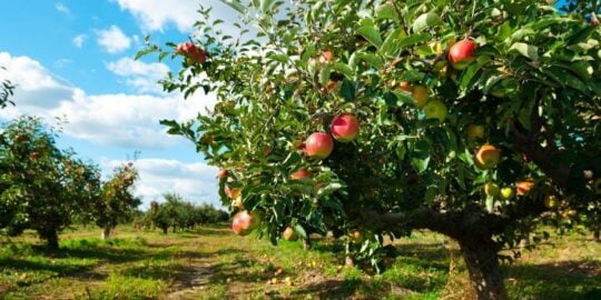 September 3: Facts & Historical Events On This Day