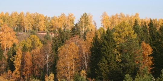 September 30: Facts & Historical Events On This Day