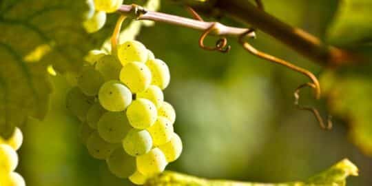 September 4: Facts & Historical Events On This Day