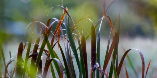 September 5: Facts & Historical Events On This Day