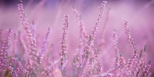 September 6: Facts & Historical Events On This Day