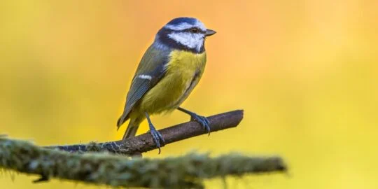 September 7: Facts & Historical Events On This Day