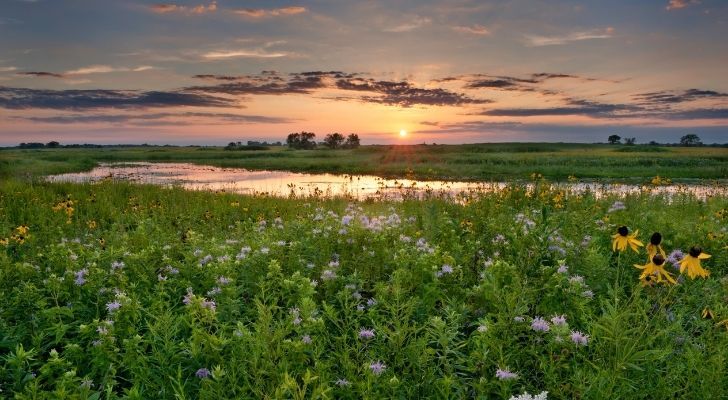 Rich green land and a shimmering river