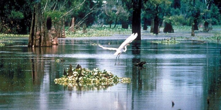 OTD in 1805: The previously known District of Louisiana became the Louisiana Territory.
