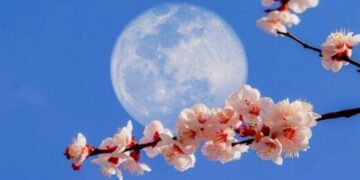 What is the Flower Moon?