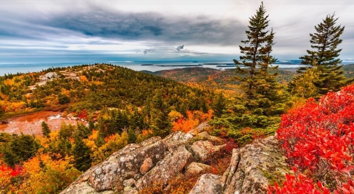 Maine is 80% forested