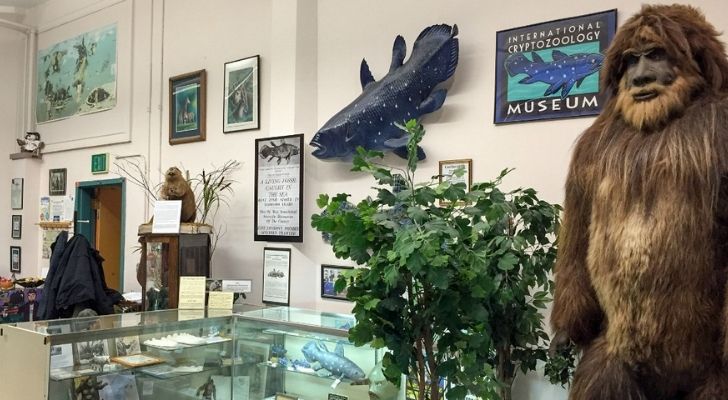 A look inside of the Cryptozoology Zoo in Maine