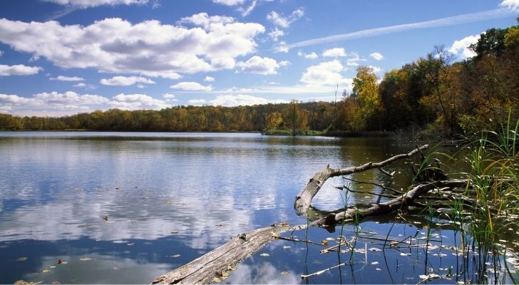 Lake of the Woods in Northern Minnesota