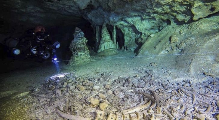 Ancient Mayan bones in Mexico