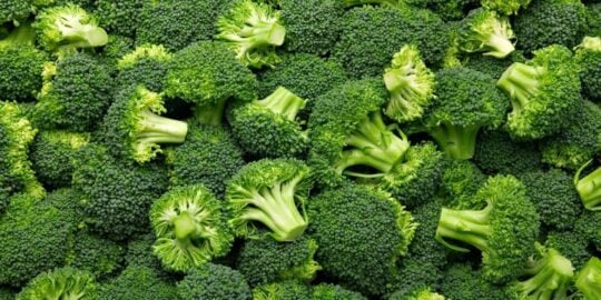 5 Brilliant Facts About Broccoli