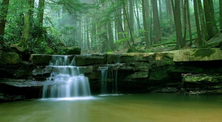 Beautiful lush forest area with a flowing waterfall and river running through it