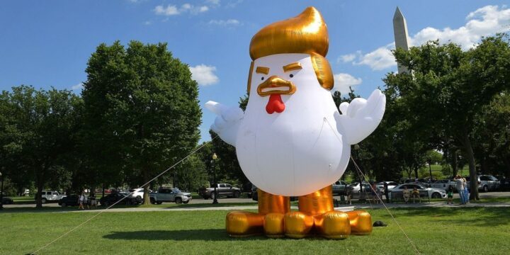 OTD in 2017: An inflatable chicken that resembled US President Donald Trump was placed outside the US White House as part of a political protest.