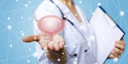 What Does Your Bladder Actually Do?