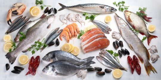 11 Tasty Facts About Seafood