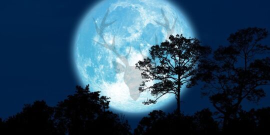 What Is A Buck Moon?