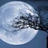 What is a Cold Moon?