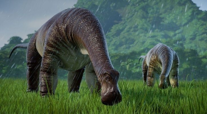 Nigersaurus cow-like dinosaurs